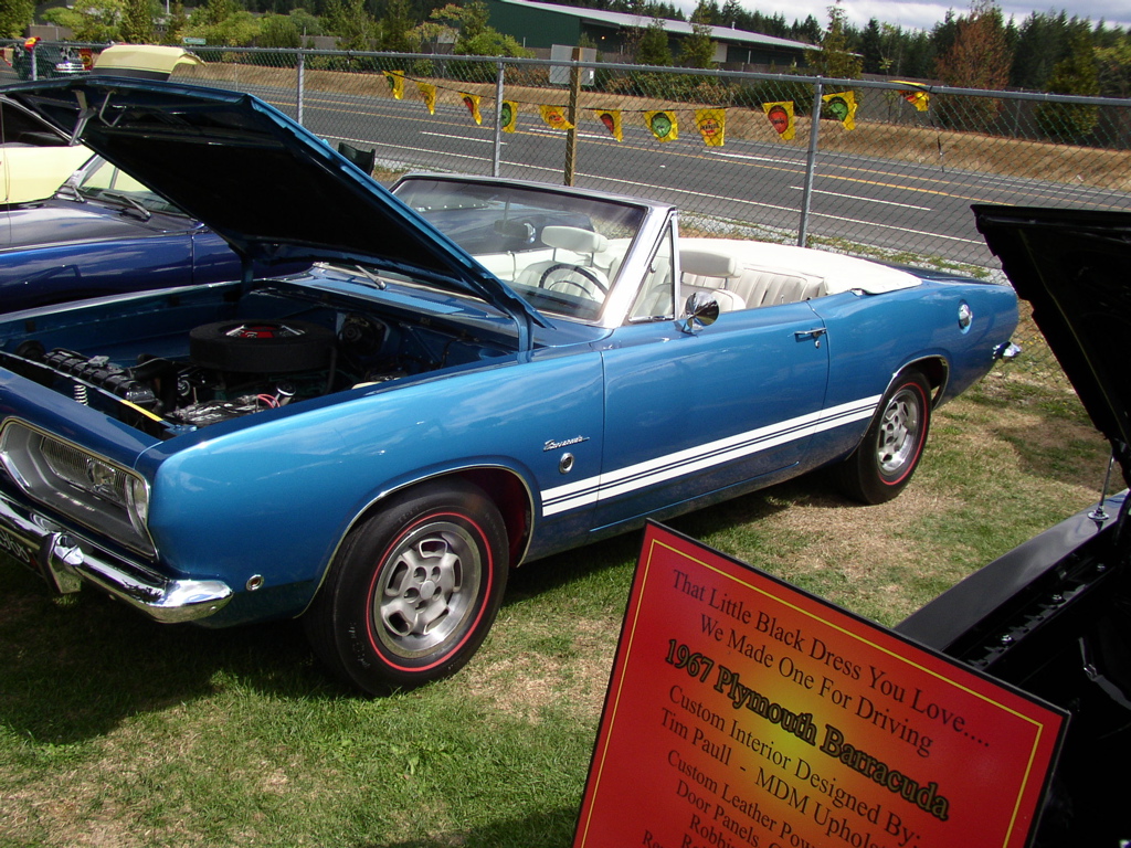 P1010153.JPG